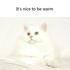 Dog Bed Mat Pet Sleeping Bed For Dog Winter Plush Pet Cushions For Kitten Soft Warm Basket Dog Accessories