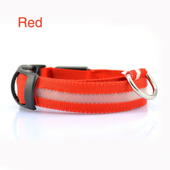 Safety Dog LED Collar