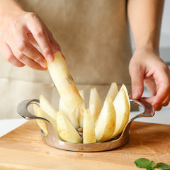 Stainless Steel Multi-function Fruit Cutting And Pitting Slicer